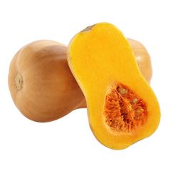 Butternut Squash